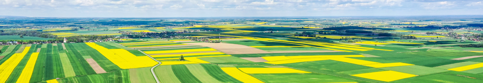 Baner wizerunkowy Gminy Zbrosławice. Widok z lotu ptaka na zielone pola. Slide 1.