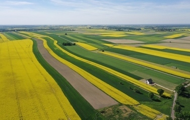 DJI_0725