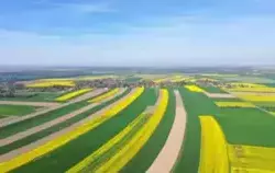 Zdjęcie do KONKURS FOTOGRAFICZNY &bdquo; Z RZEPAKIEM W TLE&rdquo;