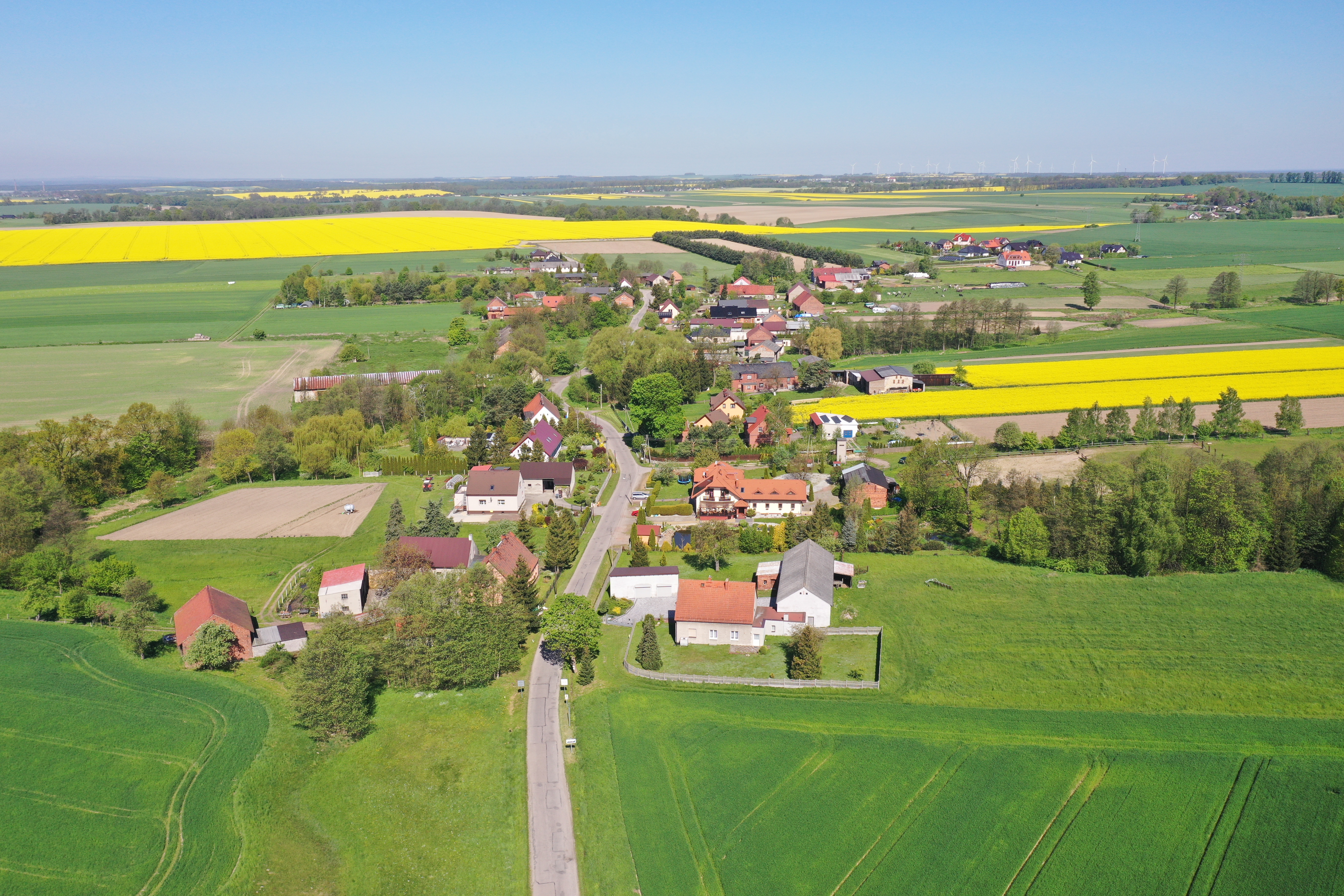 DJI_0278