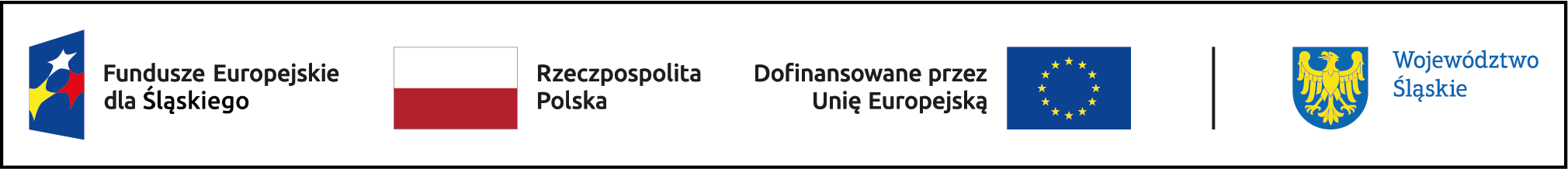 FE_SL_kolor_poziom