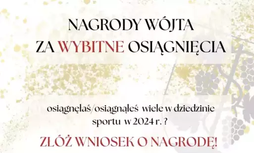 Zdjęcie do Nagrody W&oacute;jta za wybitne osiągnięcia sportowe
