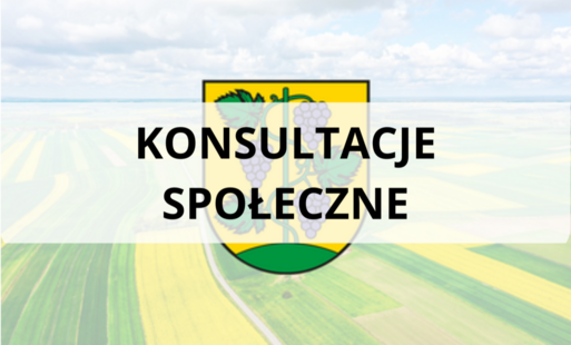 Zdjęcie do Konsultacje społeczne
