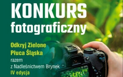 Zdjęcie do Odkryj Zielone Płuca Śląska razem z Nadleśnictwem Brynek - edycja IV