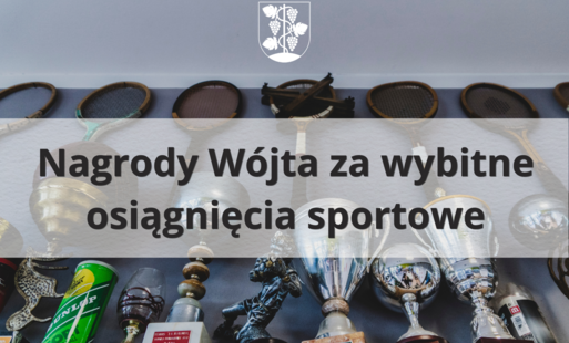Zdjęcie do Nagrody W&oacute;jta za wybitne osiągnięcia sportowe