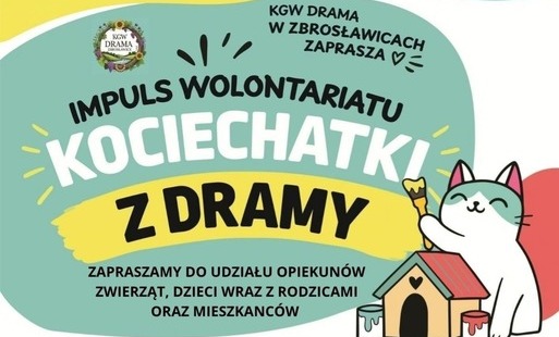 Zdjęcie do Impuls Wolontariatu - Kociechatki z Dramy